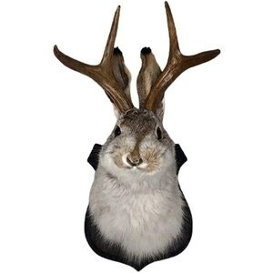 Jackalope, Jackalope Mount, Deer Head Wall Mount, Resin Deer Head Animal Wall🙊